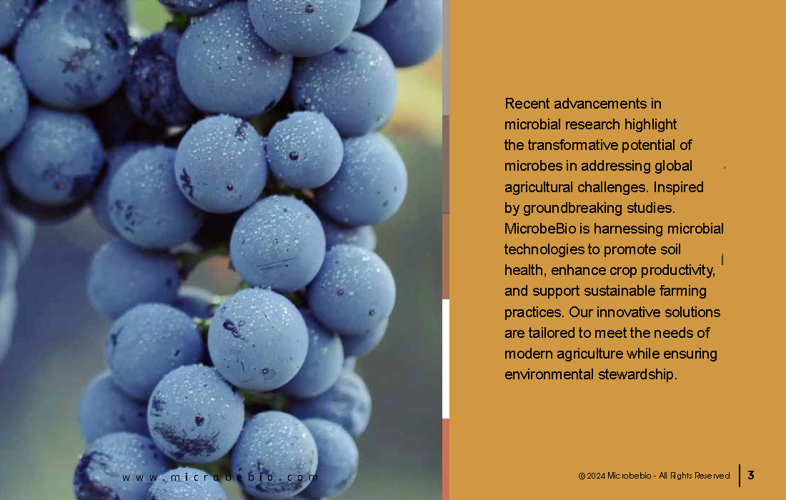 Pioneering Microbial Solutions for Sustainable Agriculture_Page_03