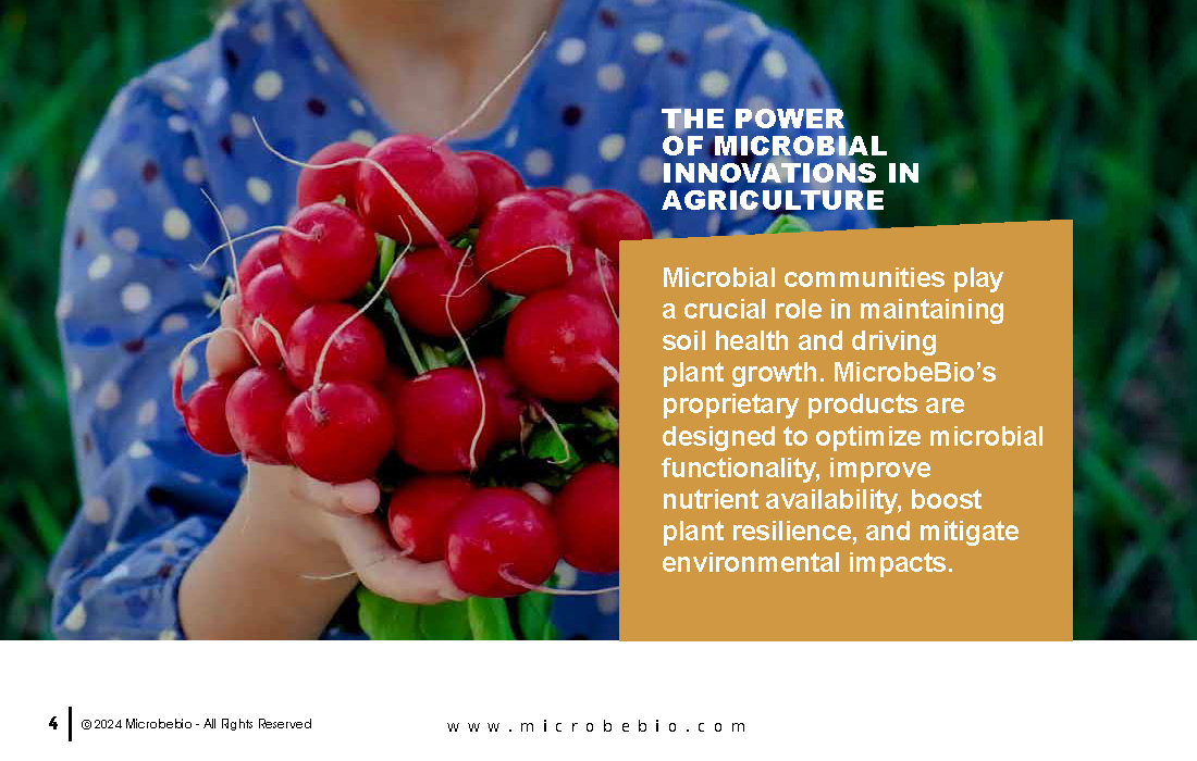 Pioneering Microbial Solutions for Sustainable Agriculture_Page_04