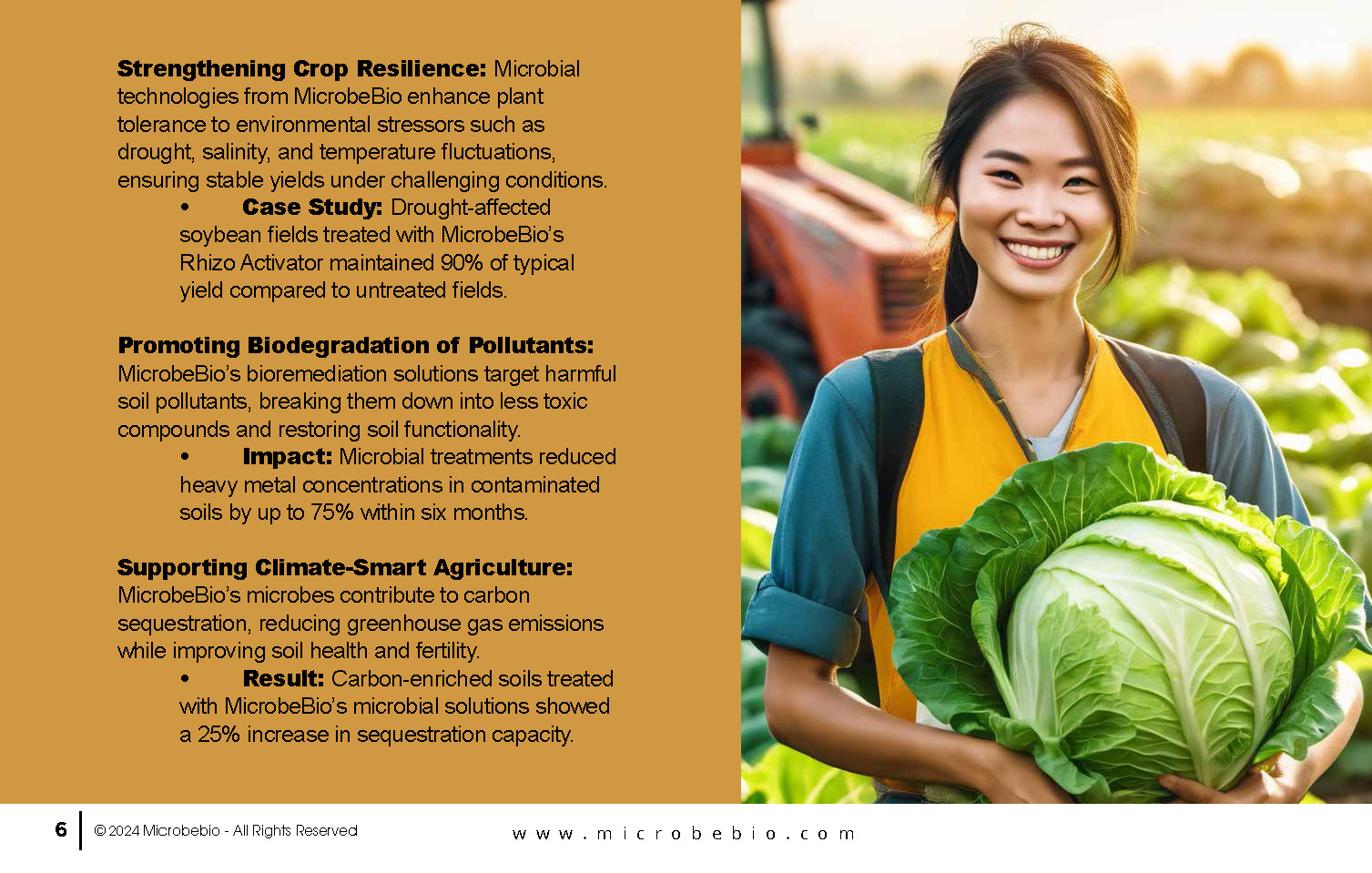 Pioneering Microbial Solutions for Sustainable Agriculture_Page_06