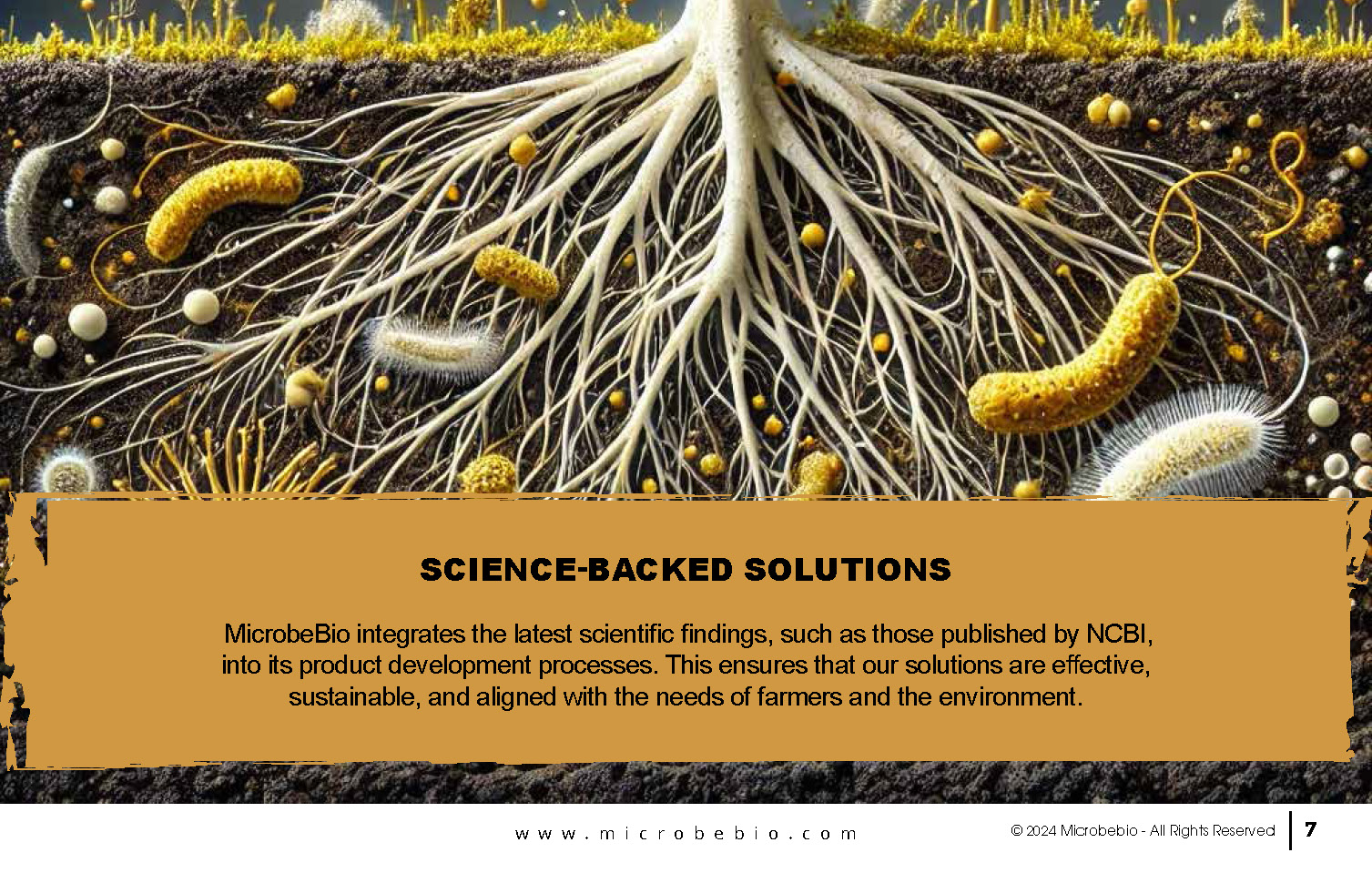Pioneering Microbial Solutions for Sustainable Agriculture_Page_07