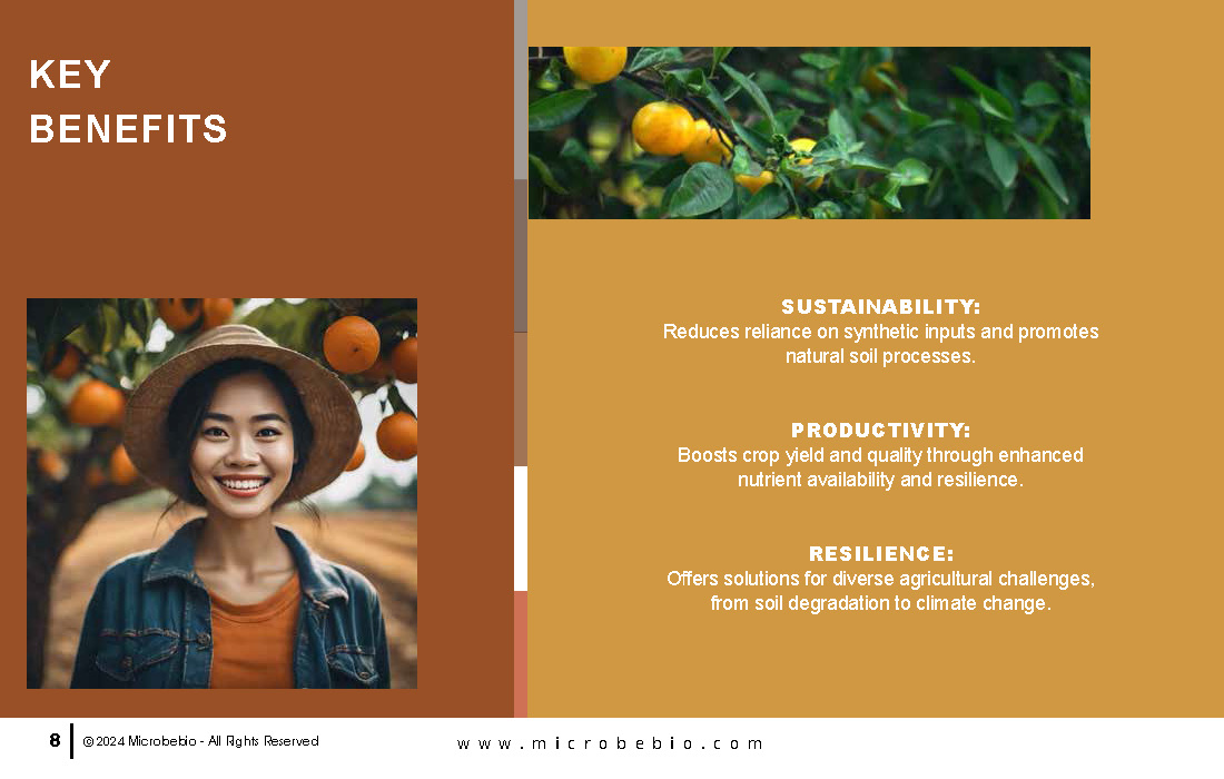 Pioneering Microbial Solutions for Sustainable Agriculture_Page_08