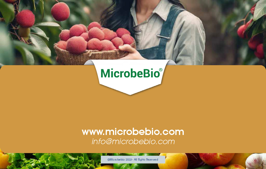 Pioneering Microbial Solutions for Sustainable Agriculture_Page_12