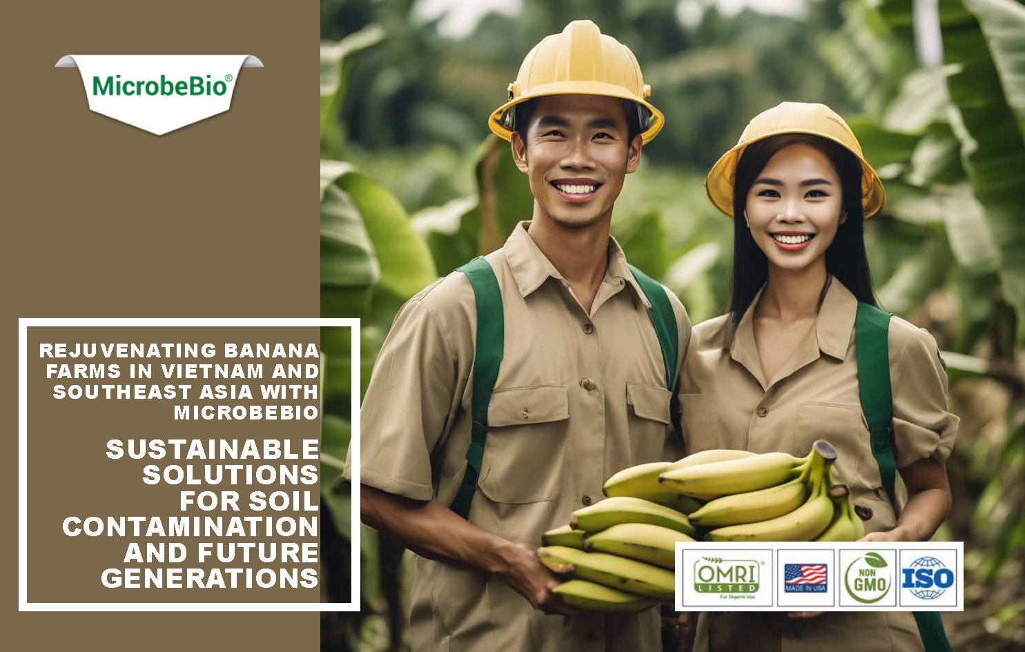 Rejuvenating Banana Farms in Vietnam and Southeast Asia with Microbebio_Page_1