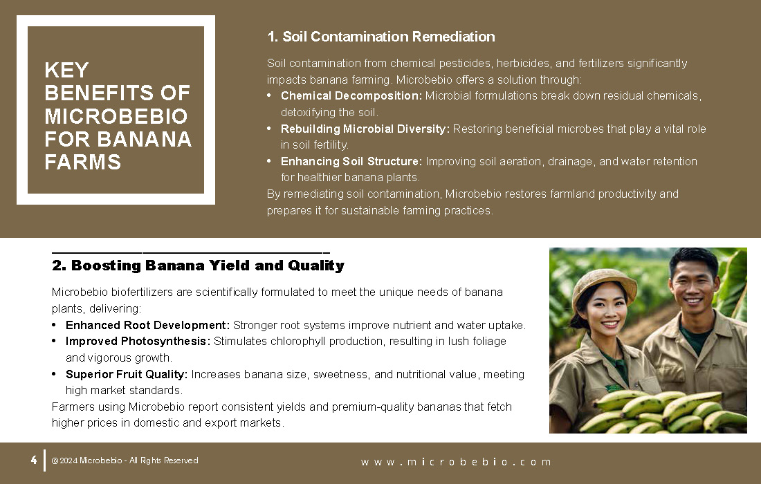 Rejuvenating Banana Farms in Vietnam and Southeast Asia with Microbebio_Page_4