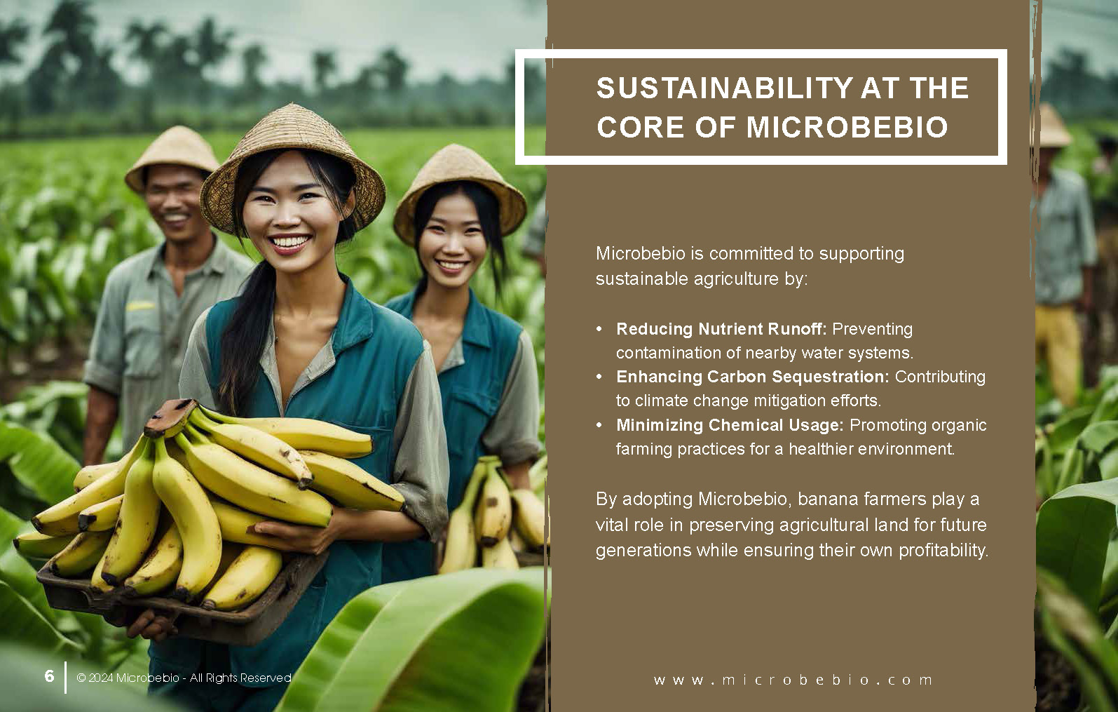 Rejuvenating Banana Farms in Vietnam and Southeast Asia with Microbebio_Page_6