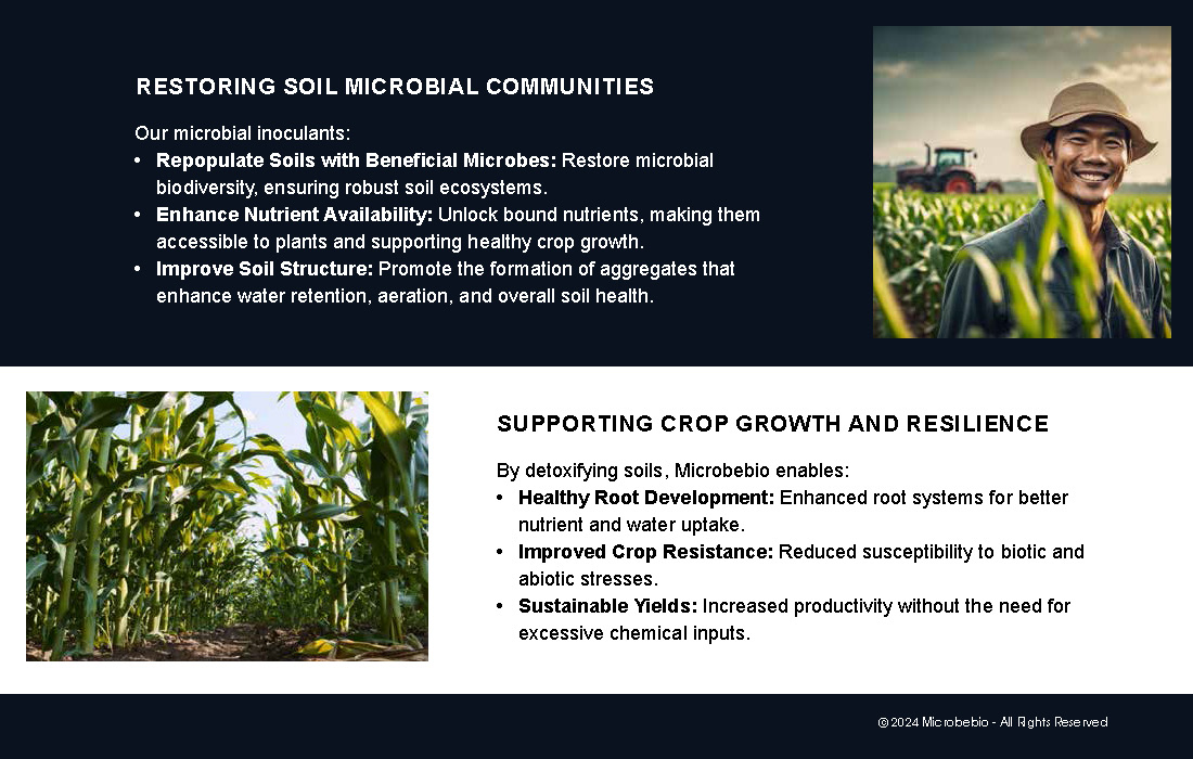Restoring Contaminated Lands with Advanced Microbial Technology_Page_07