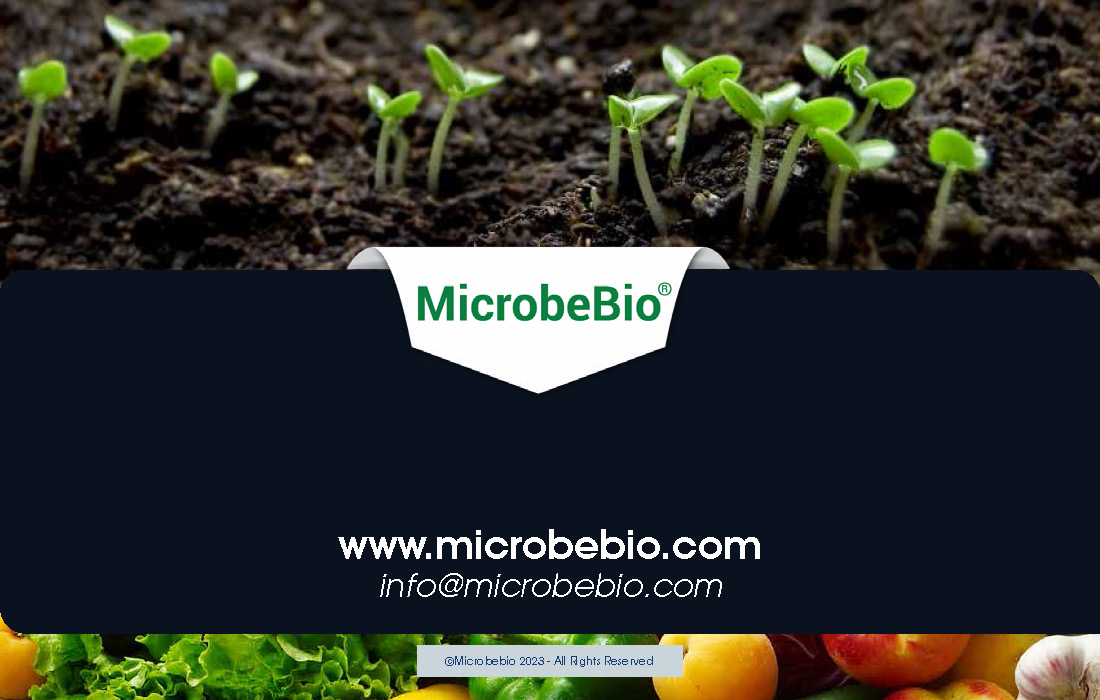 Restoring Contaminated Lands with Advanced Microbial Technology_Page_11