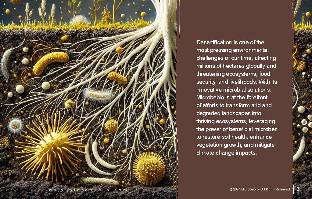 Restoring Deserts to Life with Advanced Microbial Technologies_Page_03
