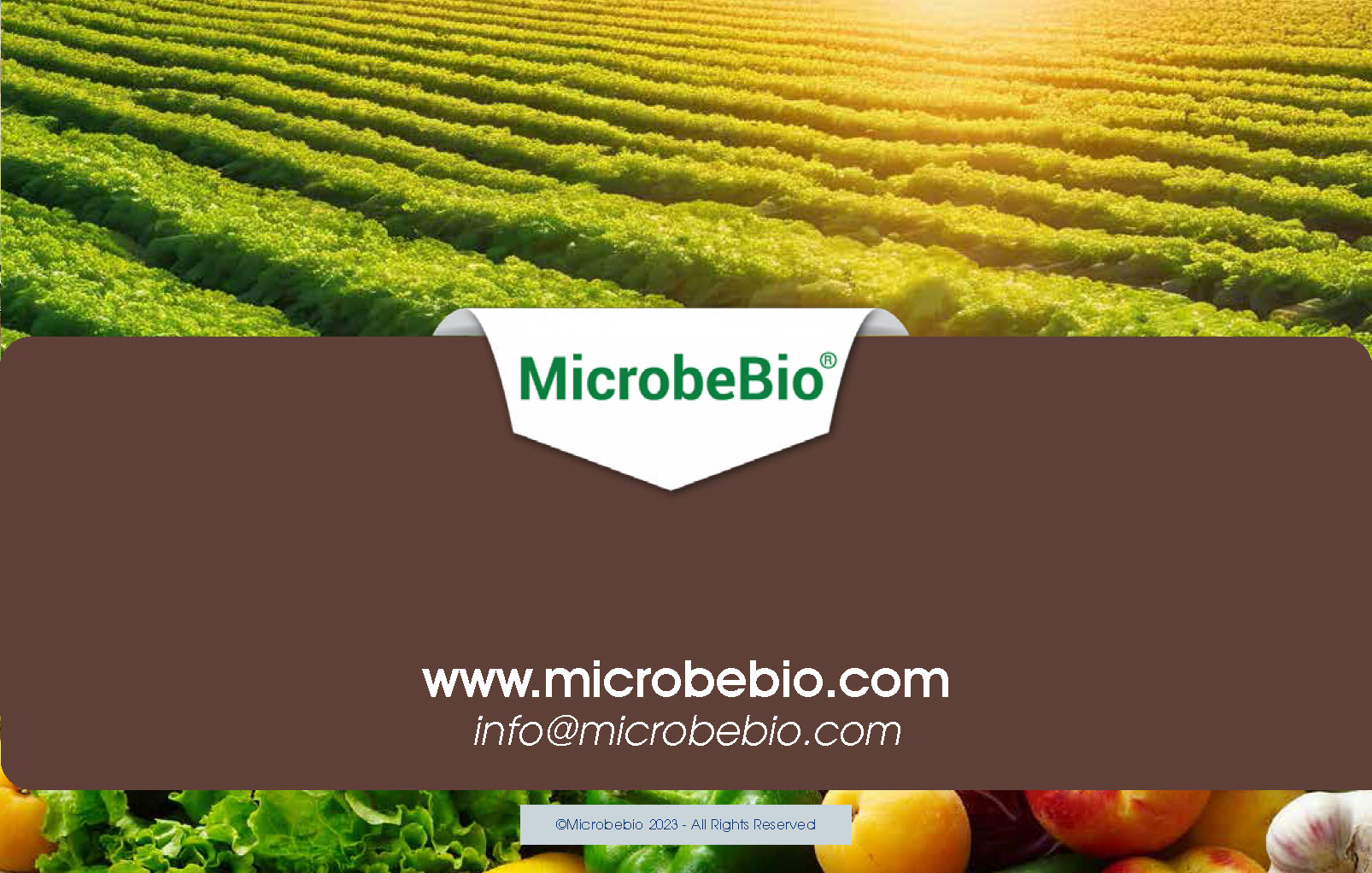 Restoring Deserts to Life with Advanced Microbial Technologies_Page_11