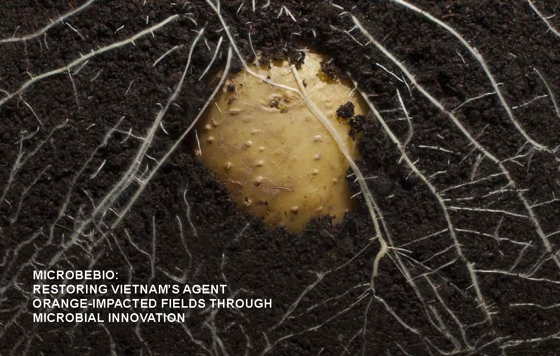 Restoring Vietnams Agent Orange-Impacted Fields Through Microbial Innovation_Page_02