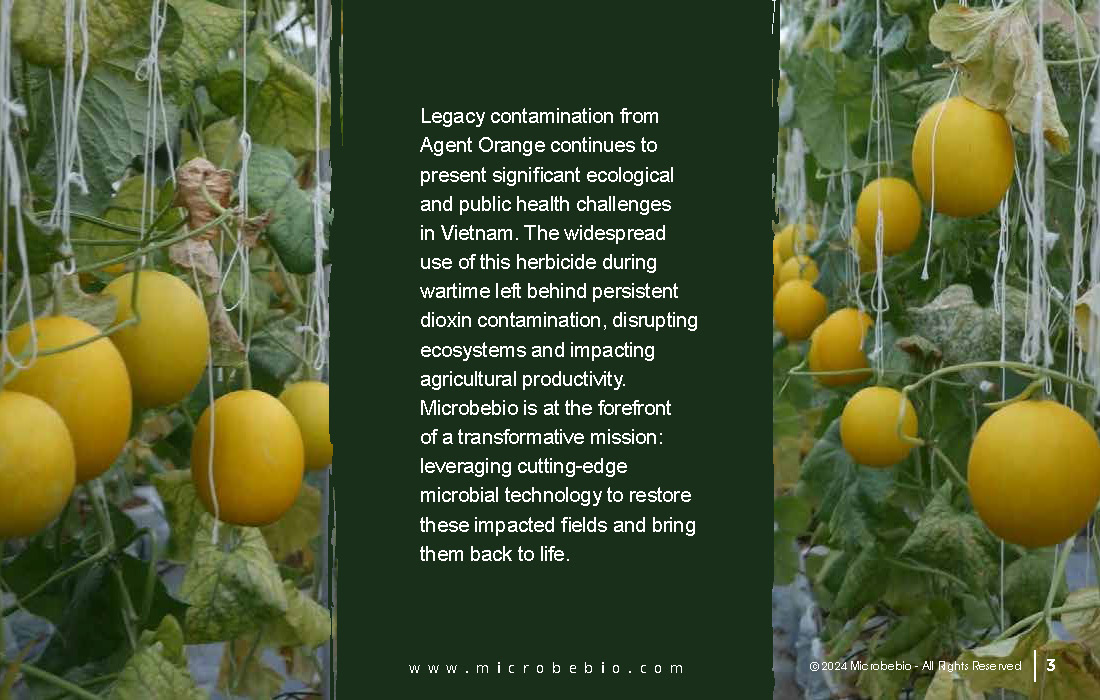 Restoring Vietnams Agent Orange-Impacted Fields Through Microbial Innovation_Page_03