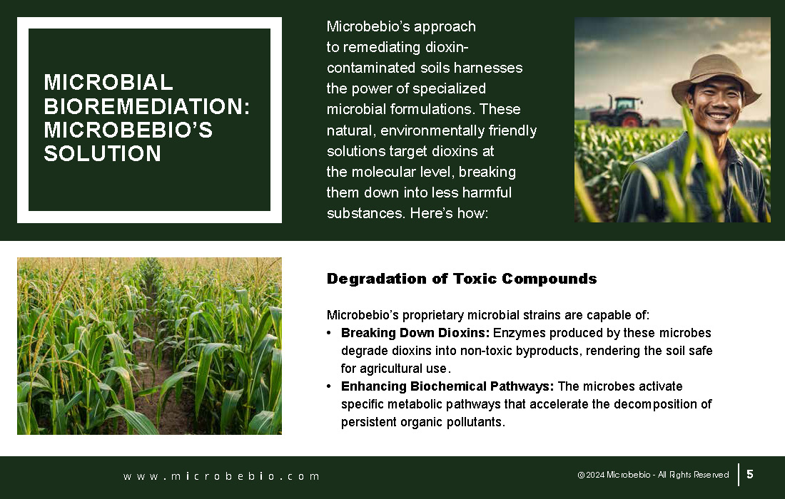 Restoring Vietnams Agent Orange-Impacted Fields Through Microbial Innovation_Page_05