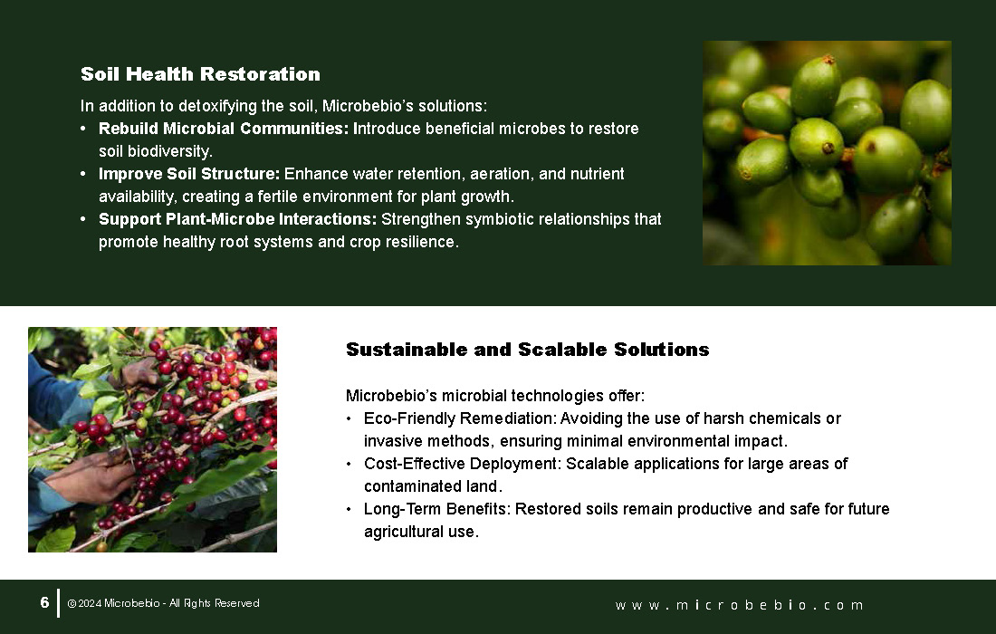 Restoring Vietnams Agent Orange-Impacted Fields Through Microbial Innovation_Page_06