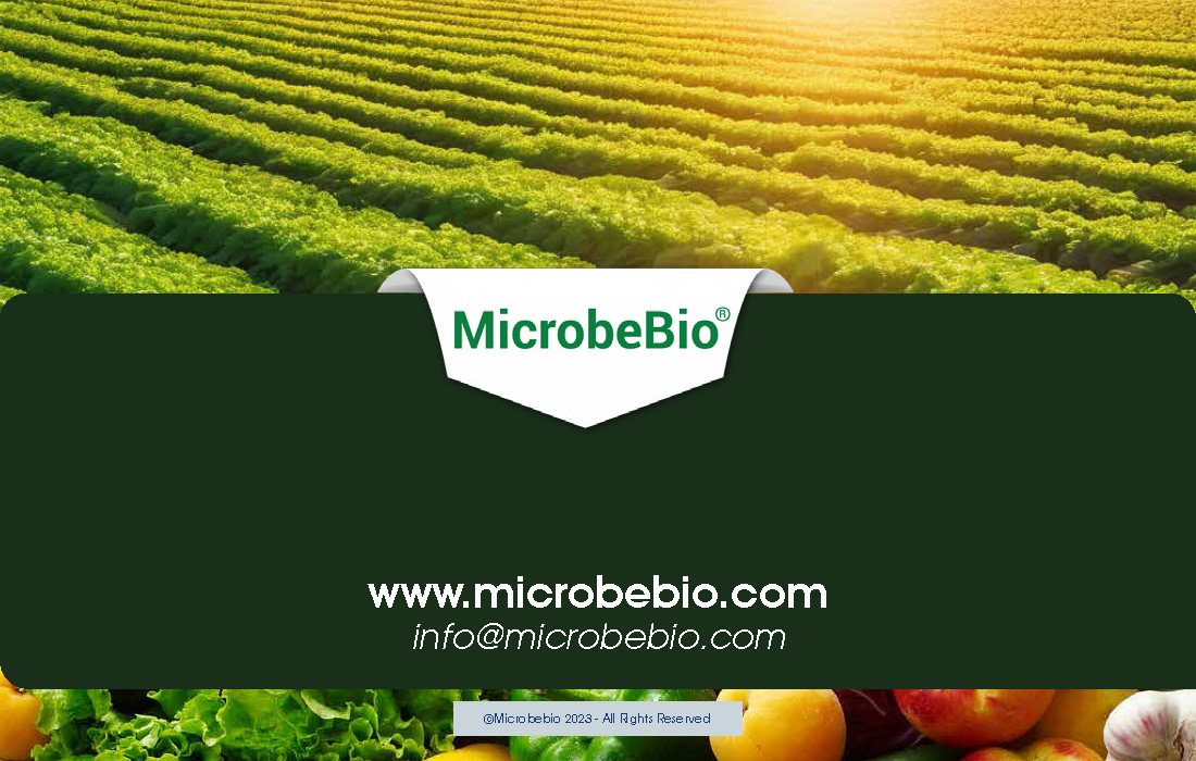 Restoring Vietnams Agent Orange-Impacted Fields Through Microbial Innovation_Page_10