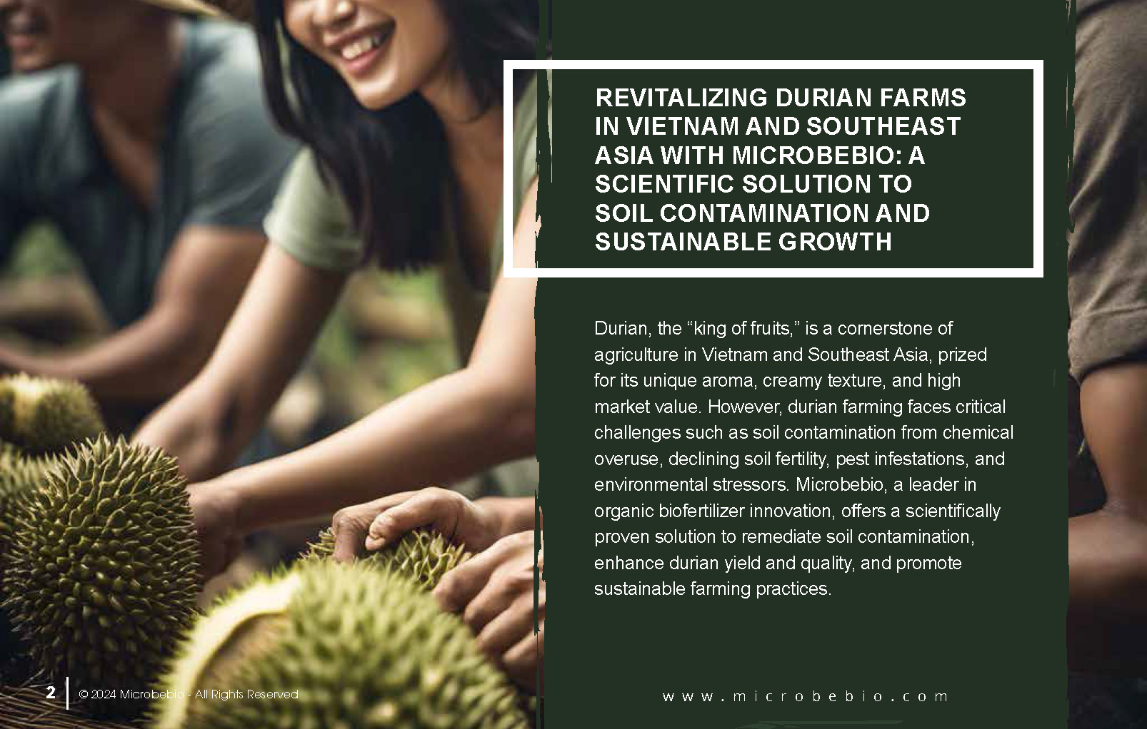Revitalizing Durian Farms in Vietnam and Southeast Asia with Microbebio_Page_2