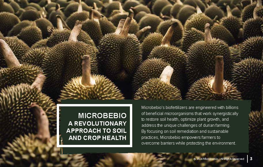 Revitalizing Durian Farms in Vietnam and Southeast Asia with Microbebio_Page_3