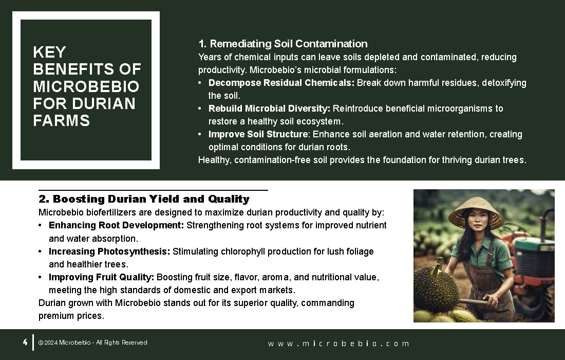 Revitalizing Durian Farms in Vietnam and Southeast Asia with Microbebio_Page_4