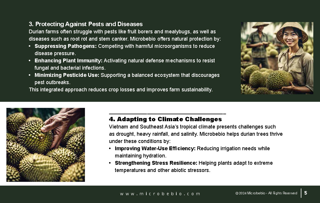Revitalizing Durian Farms in Vietnam and Southeast Asia with Microbebio_Page_5