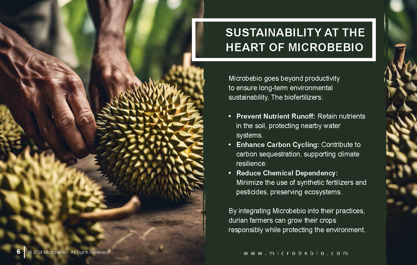 Revitalizing Durian Farms in Vietnam and Southeast Asia with Microbebio_Page_6