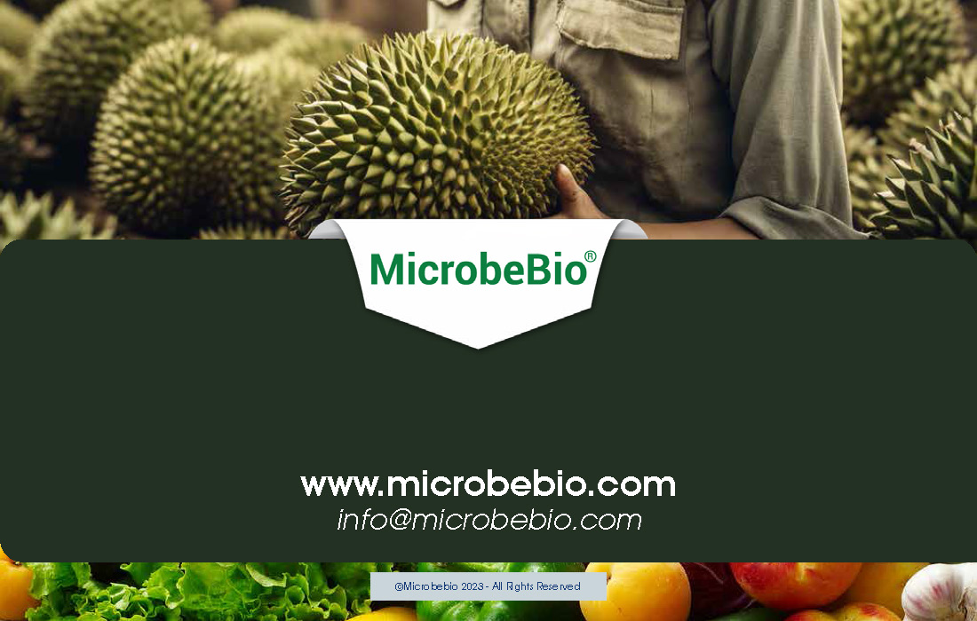Revitalizing Durian Farms in Vietnam and Southeast Asia with Microbebio_Page_9