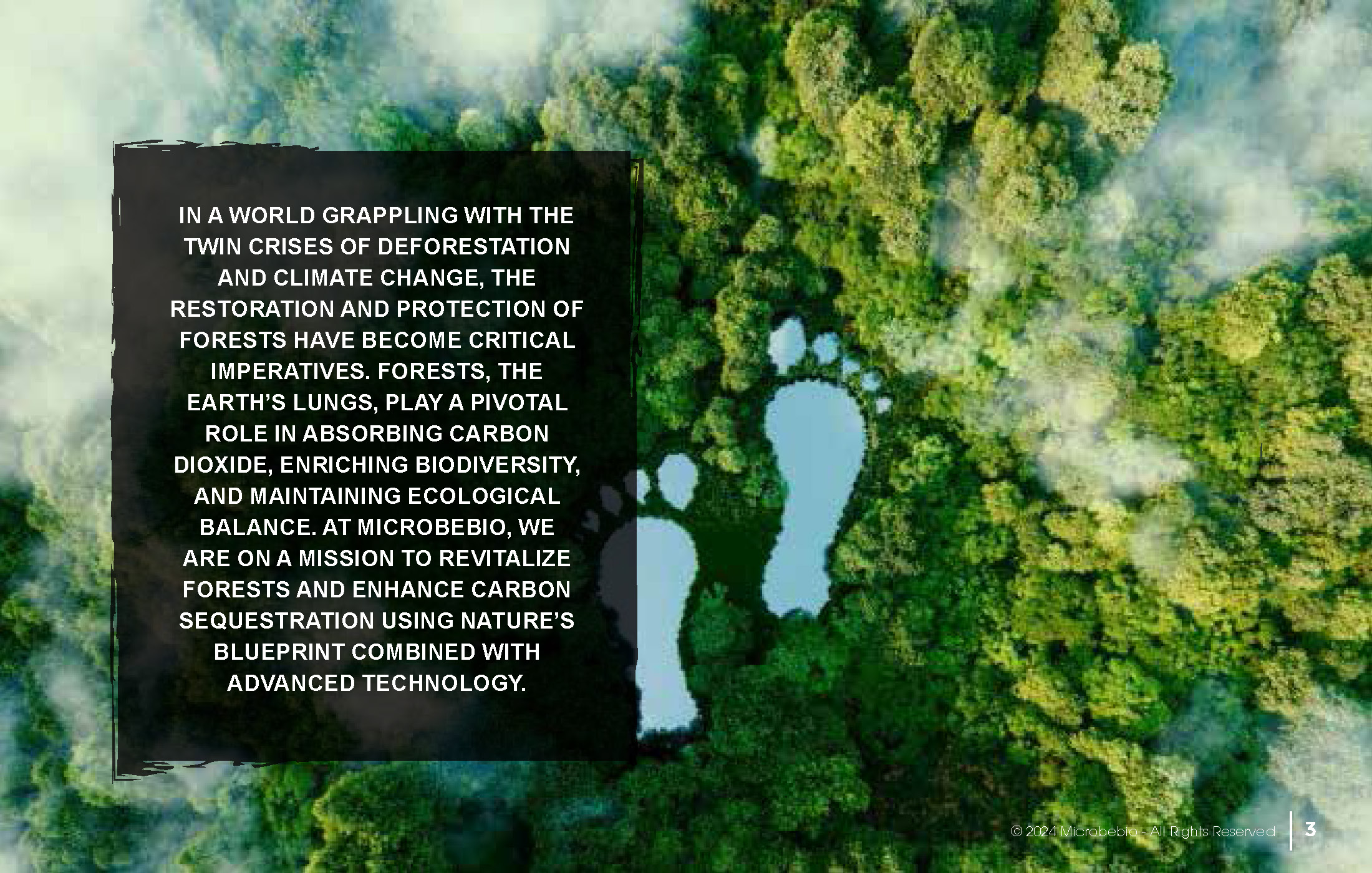 Revitalizing Forests and Enhancing Carbon Sequestration Naturally_Page_03