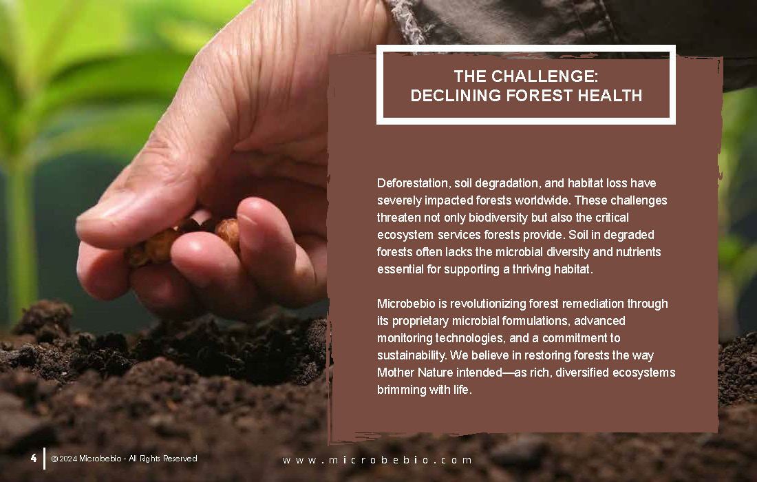Revitalizing Forests and Enhancing Carbon Sequestration Naturally_Page_04