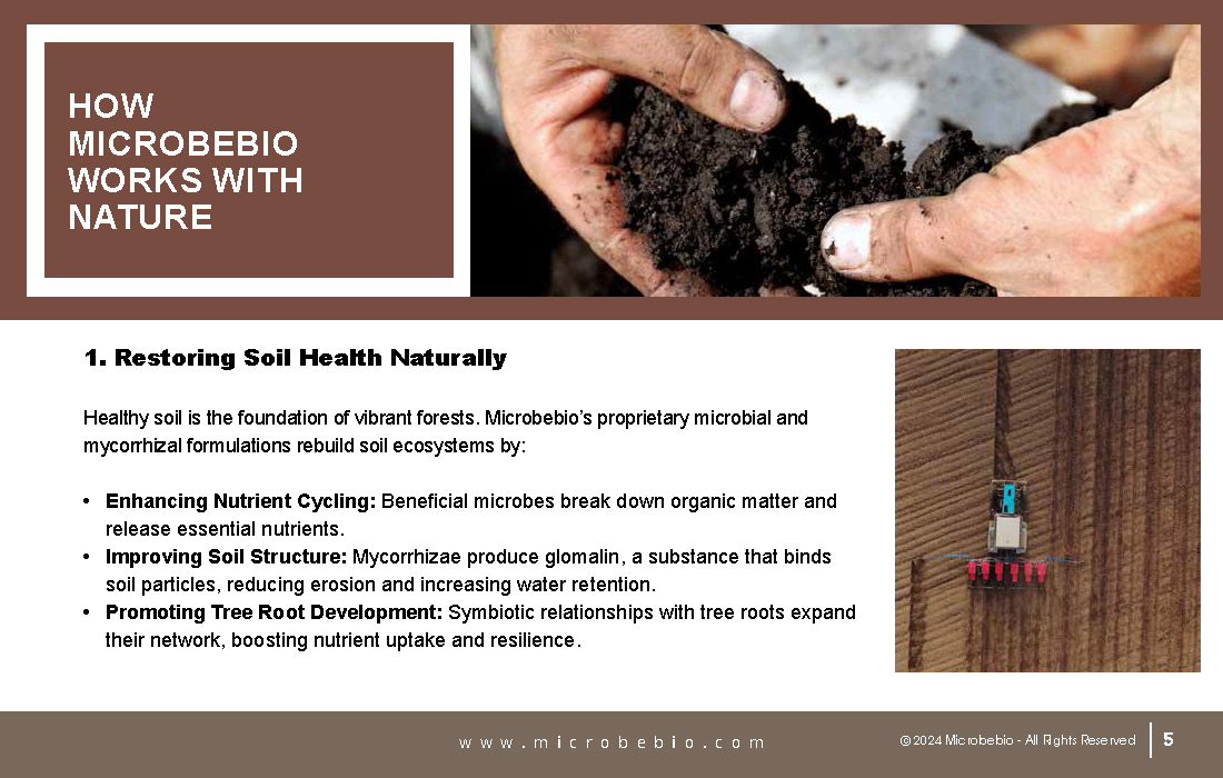 Revitalizing Forests and Enhancing Carbon Sequestration Naturally_Page_05