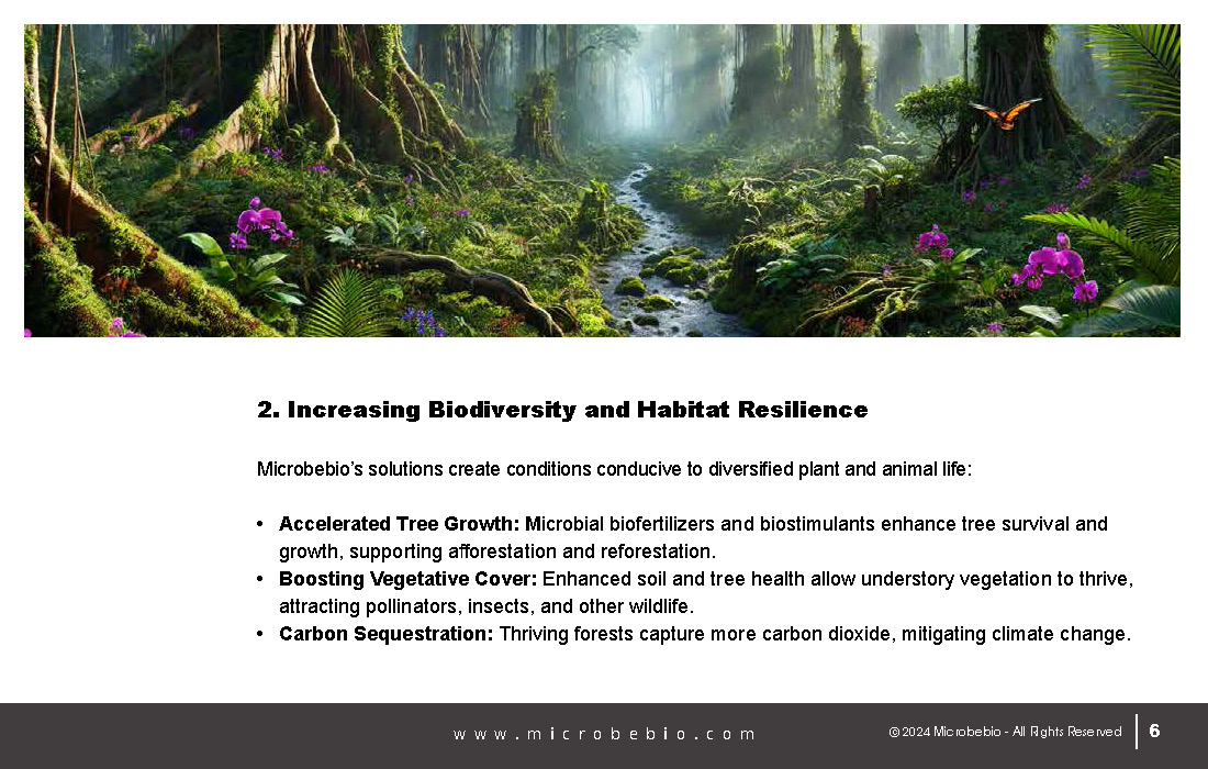 Revitalizing Forests and Enhancing Carbon Sequestration Naturally_Page_06
