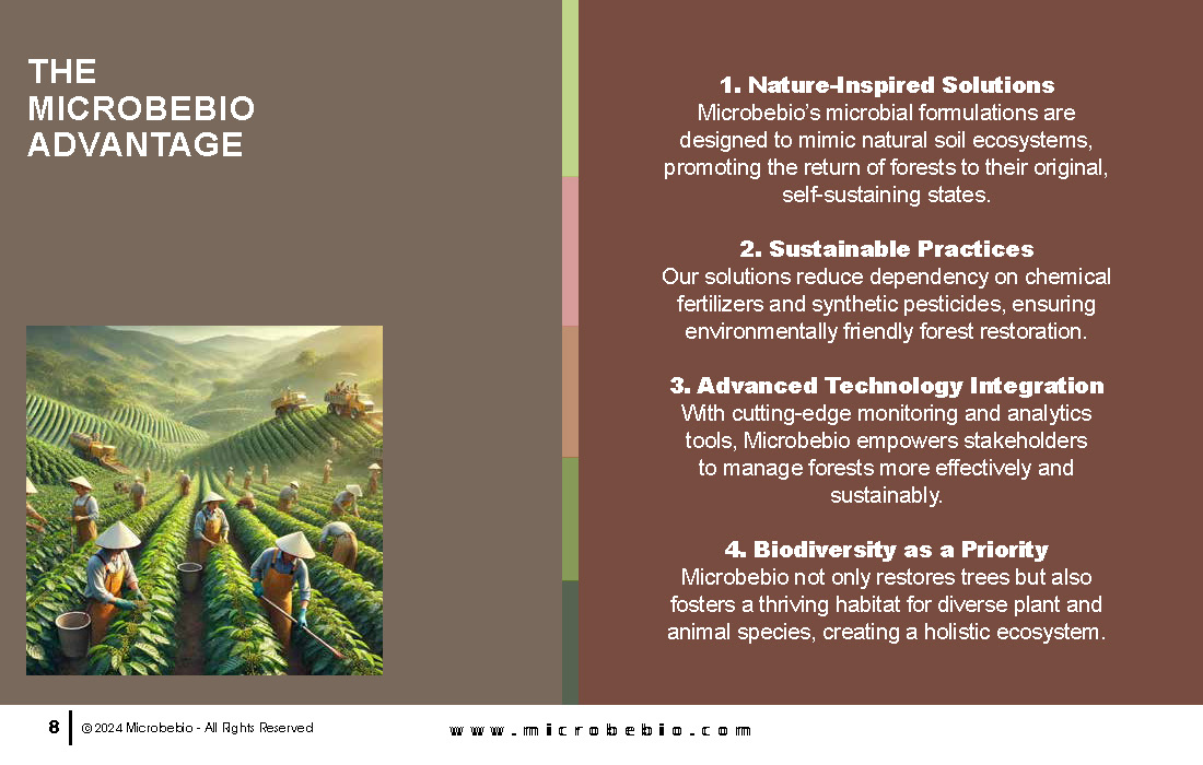 Revitalizing Forests and Enhancing Carbon Sequestration Naturally_Page_08