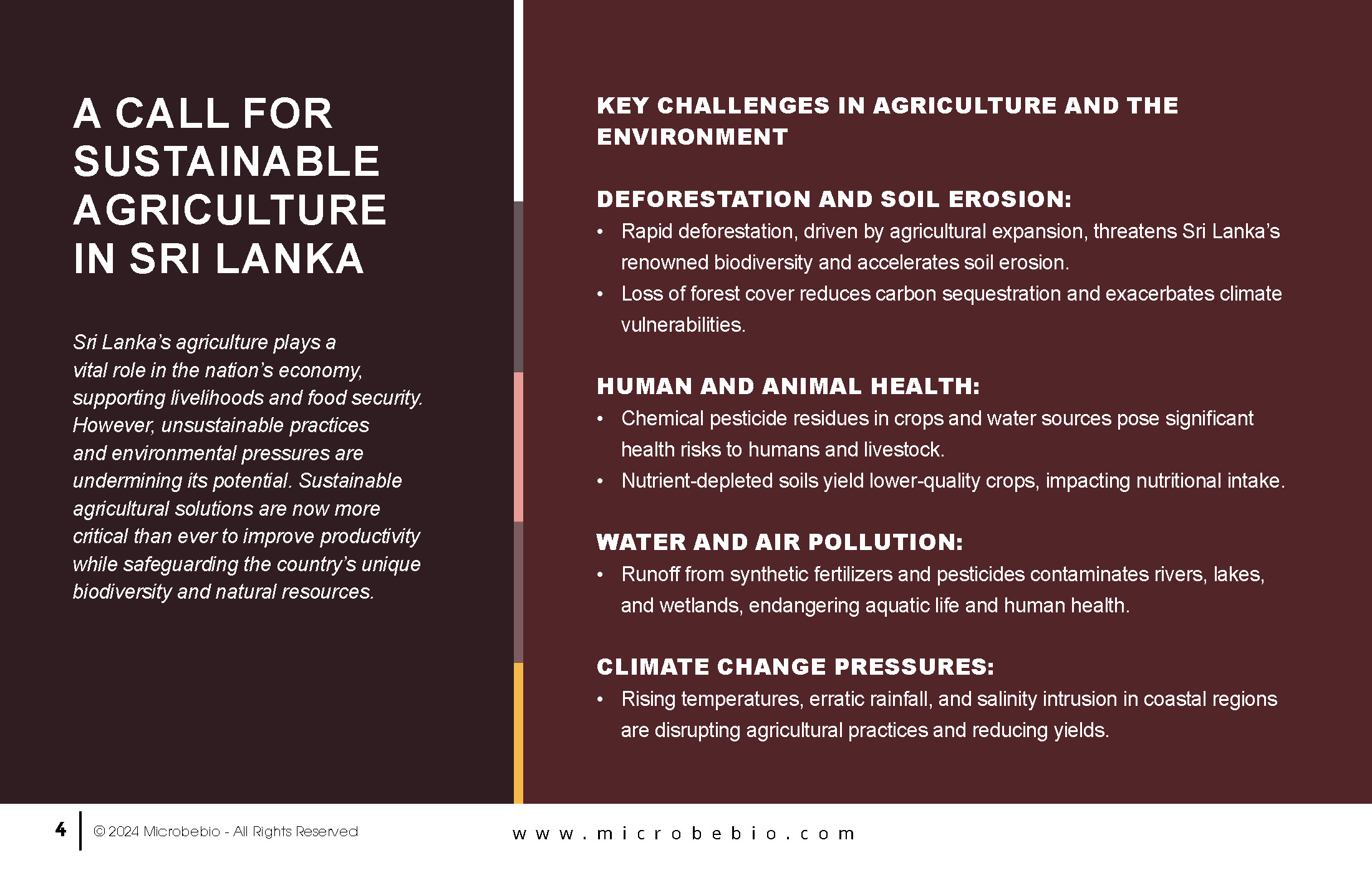 Revolutionize Agriculture in Sri Lanka with Microbebio_Page_04