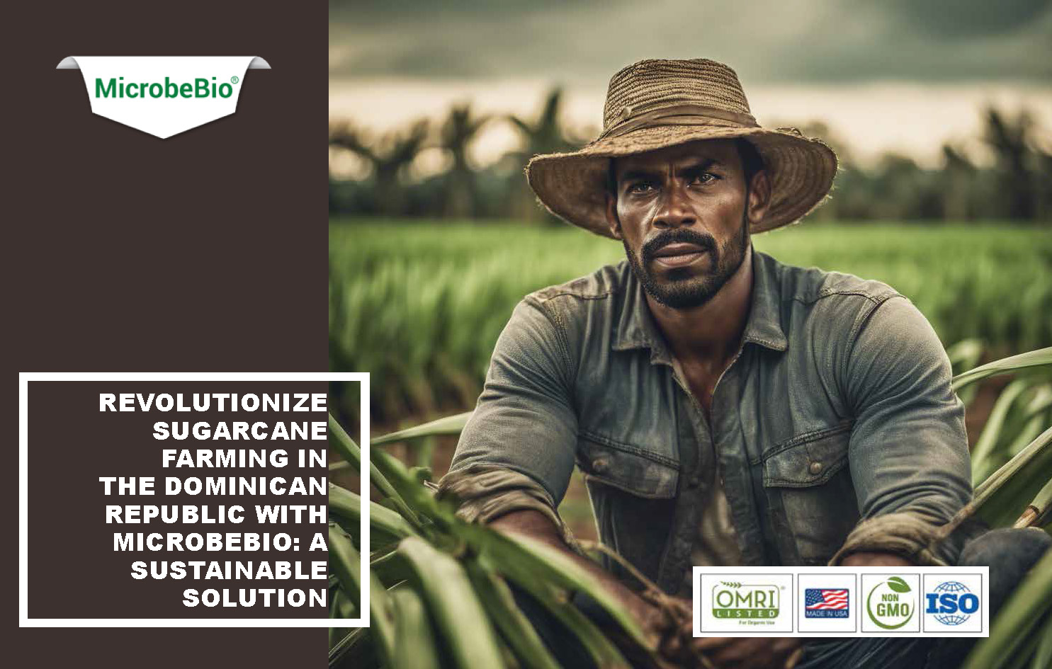 Revolutionize Sugarcane Farming in the Dominican Republic with Microbebio_Page_01