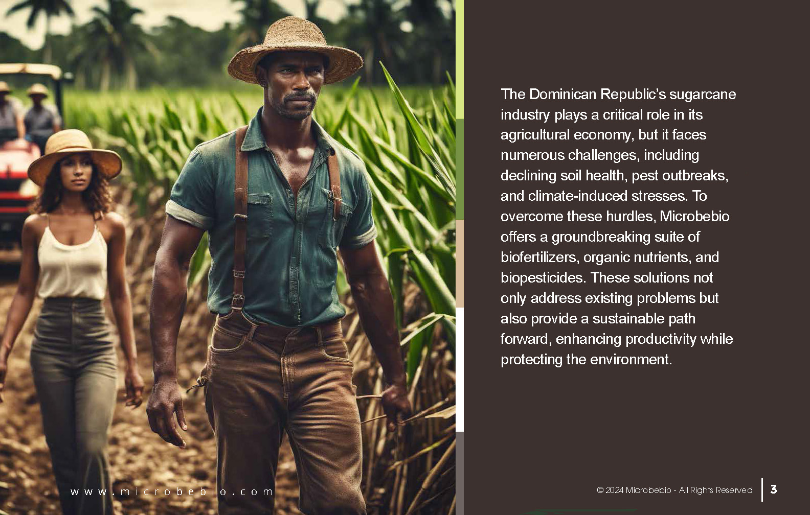 Revolutionize Sugarcane Farming in the Dominican Republic with Microbebio_Page_03