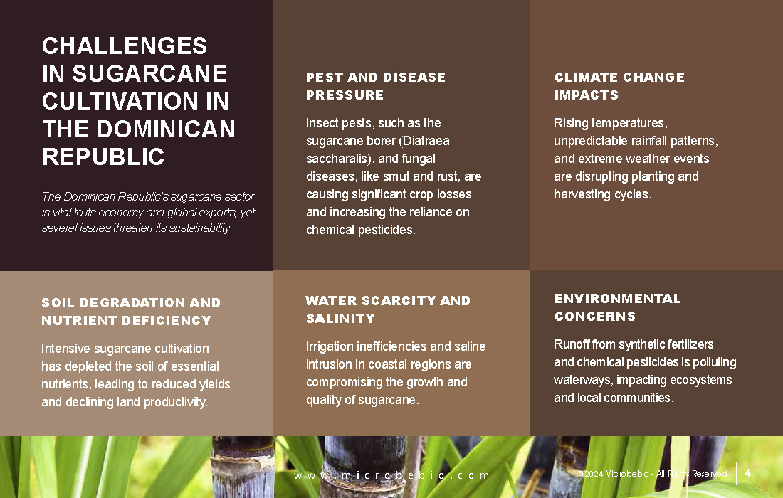 Revolutionize Sugarcane Farming in the Dominican Republic with Microbebio_Page_04