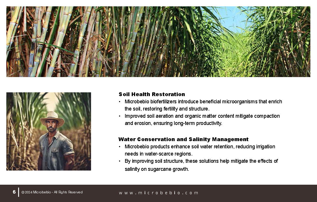 Revolutionize Sugarcane Farming in the Dominican Republic with Microbebio_Page_06