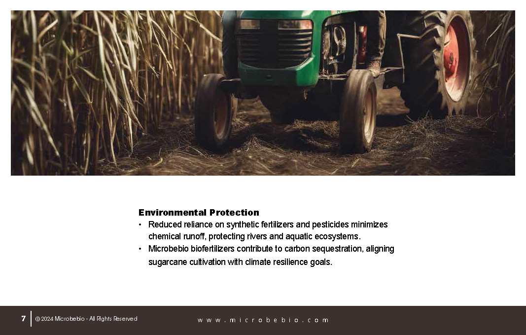 Revolutionize Sugarcane Farming in the Dominican Republic with Microbebio_Page_07