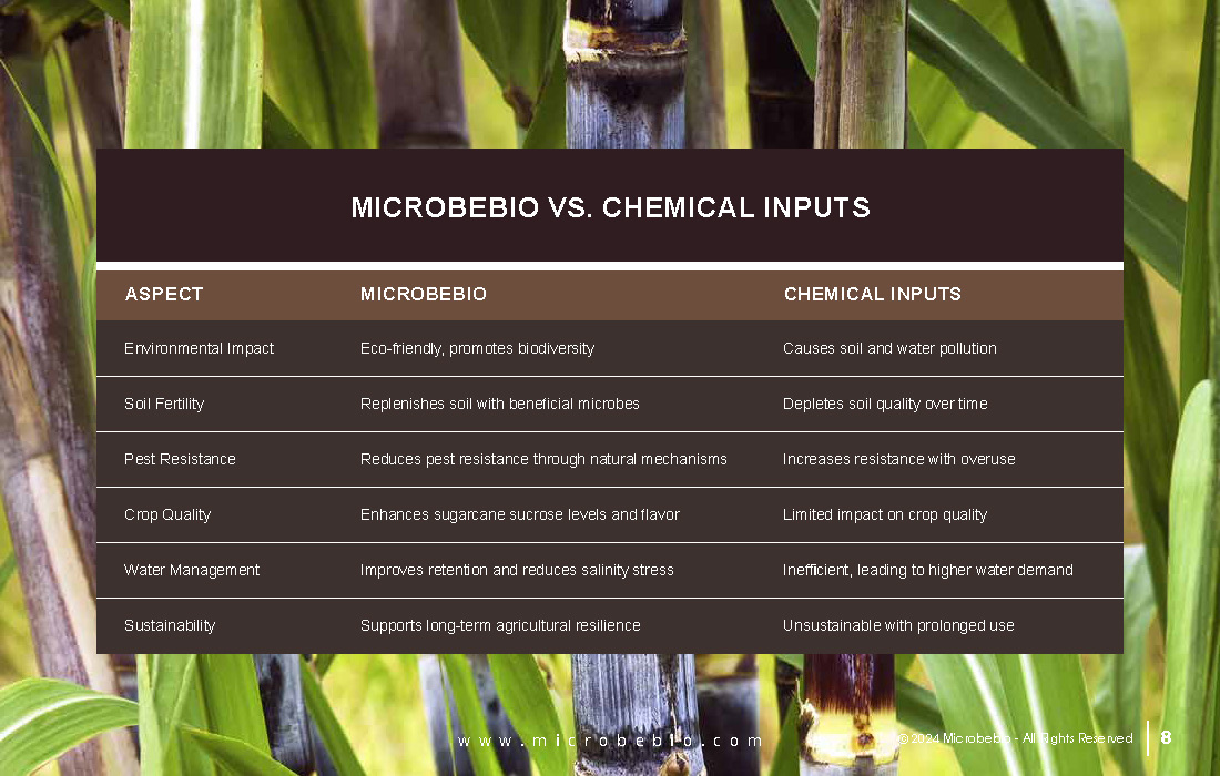 Revolutionize Sugarcane Farming in the Dominican Republic with Microbebio_Page_08