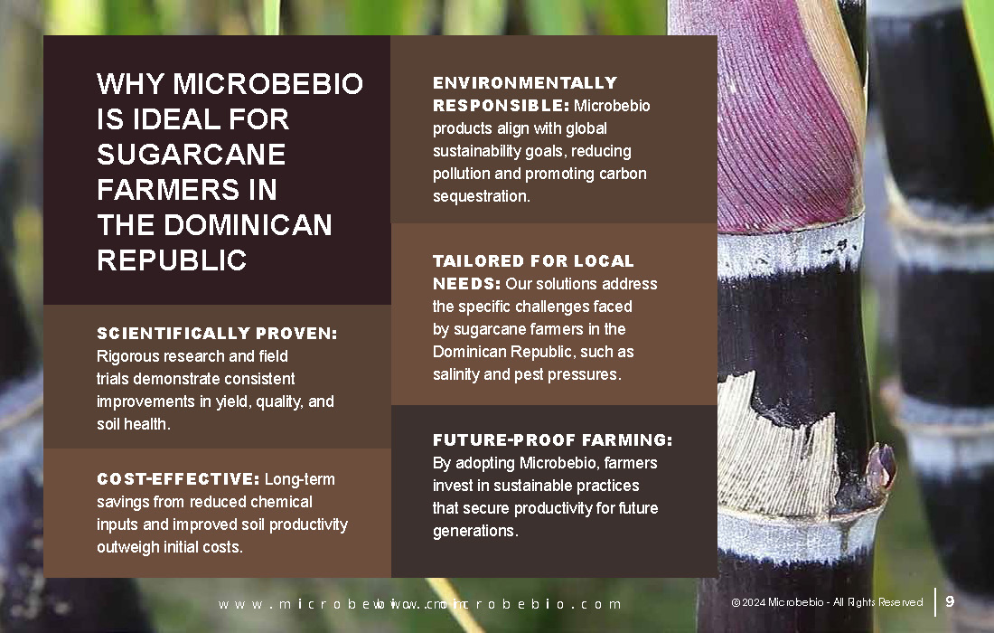 Revolutionize Sugarcane Farming in the Dominican Republic with Microbebio_Page_09
