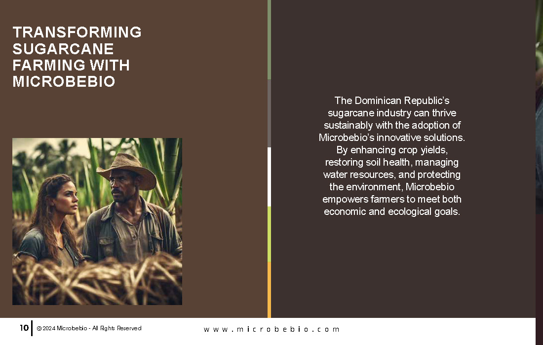 Revolutionize Sugarcane Farming in the Dominican Republic with Microbebio_Page_10