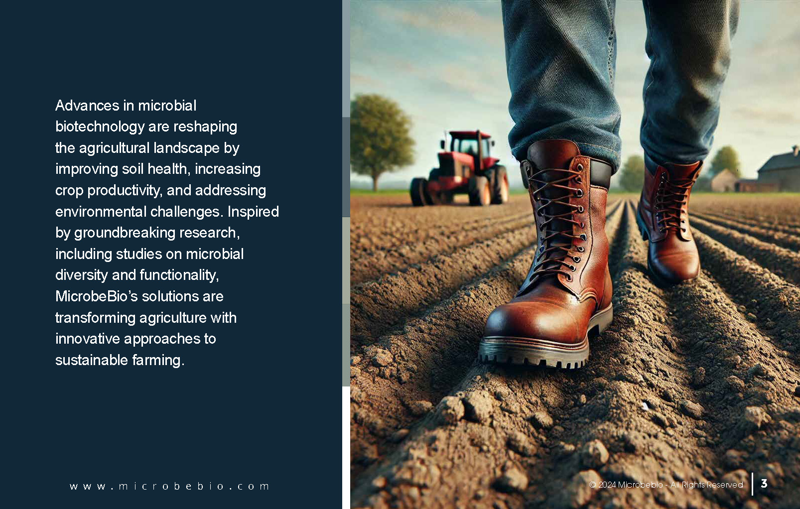 Revolutionizing Agriculture Through Microbial Advancements_Page_03