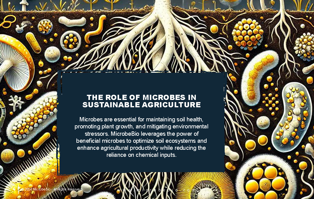 Revolutionizing Agriculture Through Microbial Advancements_Page_04