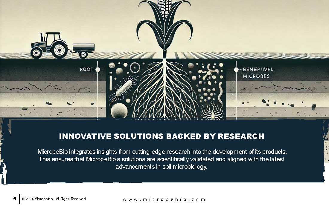Revolutionizing Agriculture Through Microbial Advancements_Page_06