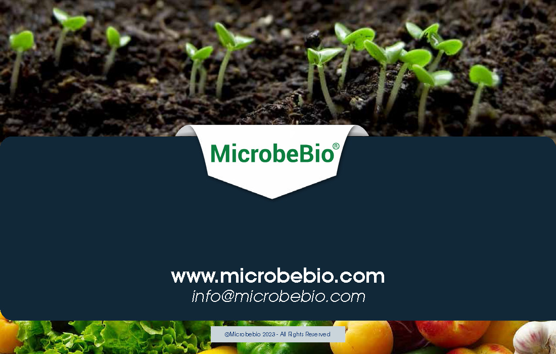 Revolutionizing Agriculture Through Microbial Advancements_Page_11