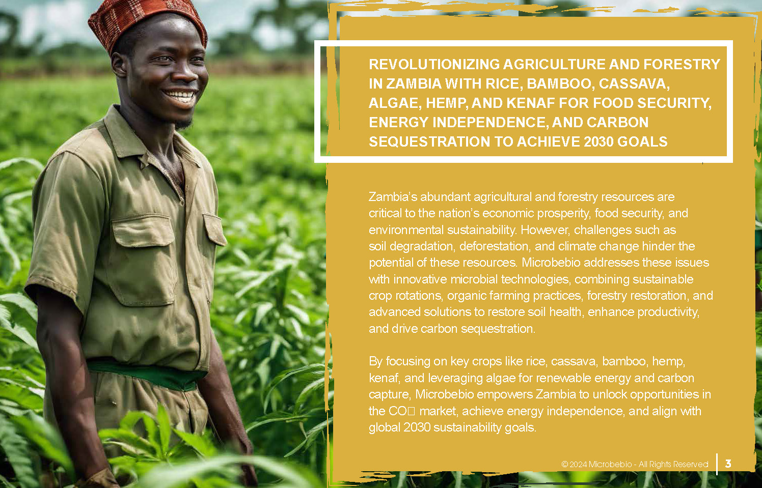 Revolutionizing Agriculture and Forestry in Zambia with Rice_Page_03