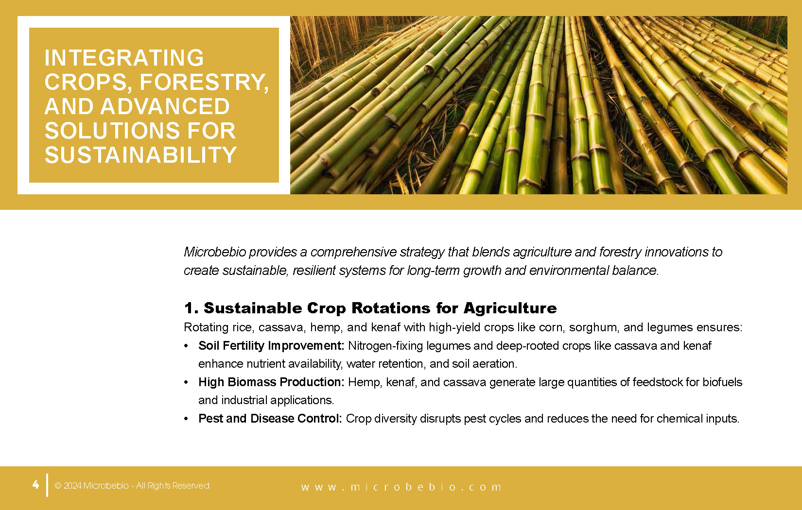 Revolutionizing Agriculture and Forestry in Zambia with Rice_Page_04