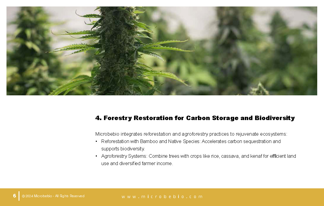 Revolutionizing Agriculture and Forestry in Zambia with Rice_Page_06