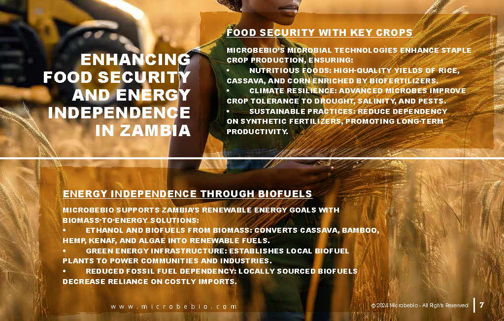 Revolutionizing Agriculture and Forestry in Zambia with Rice_Page_07