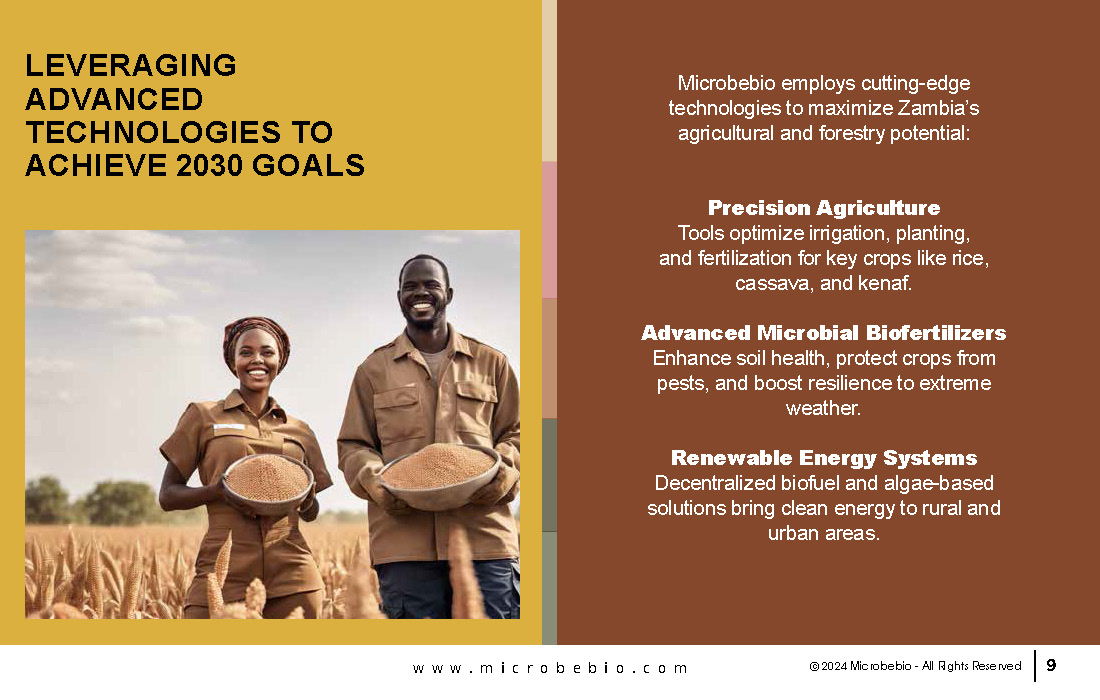 Revolutionizing Agriculture and Forestry in Zambia with Rice_Page_09