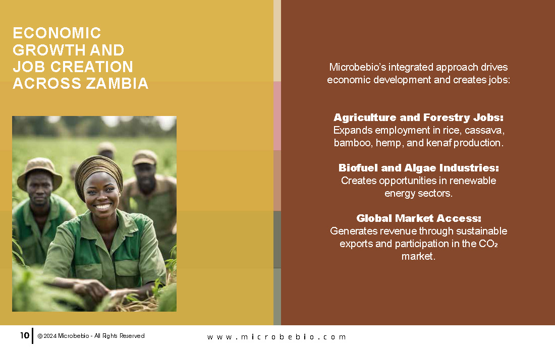 Revolutionizing Agriculture and Forestry in Zambia with Rice_Page_10