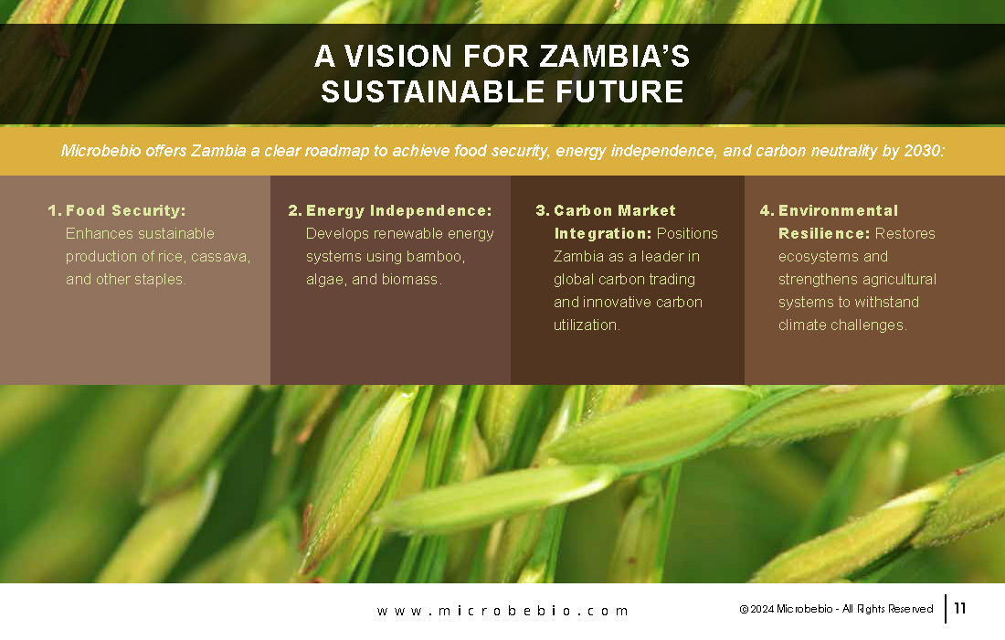 Revolutionizing Agriculture and Forestry in Zambia with Rice_Page_11