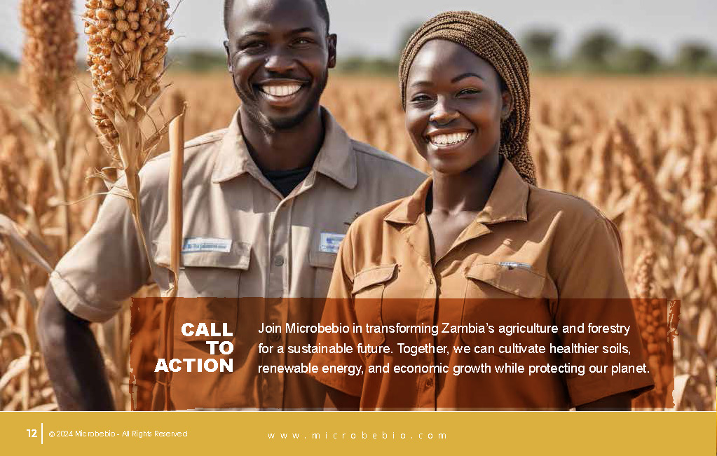 Revolutionizing Agriculture and Forestry in Zambia with Rice_Page_12